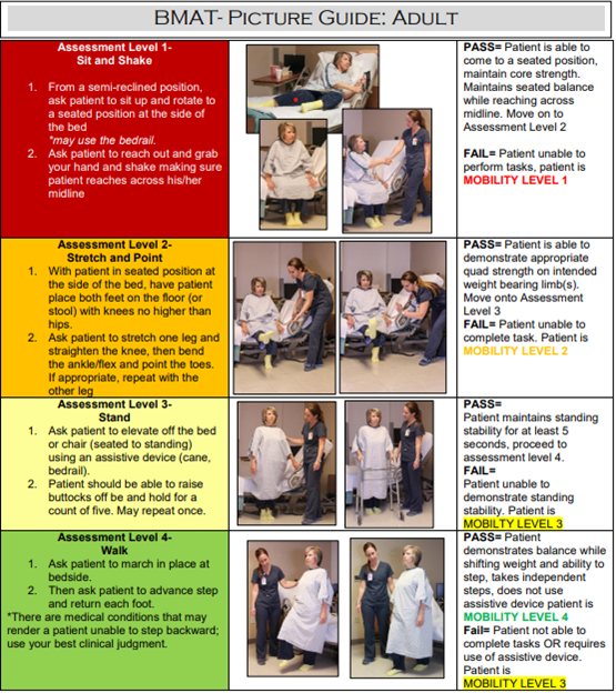 Bmat visual guide
